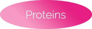 Protein