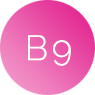 Vitamine B9